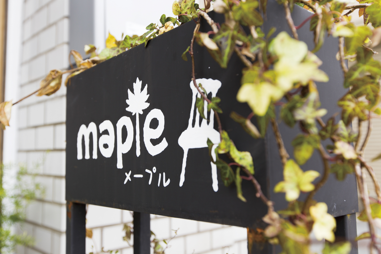 maple　家具と雑貨の店
